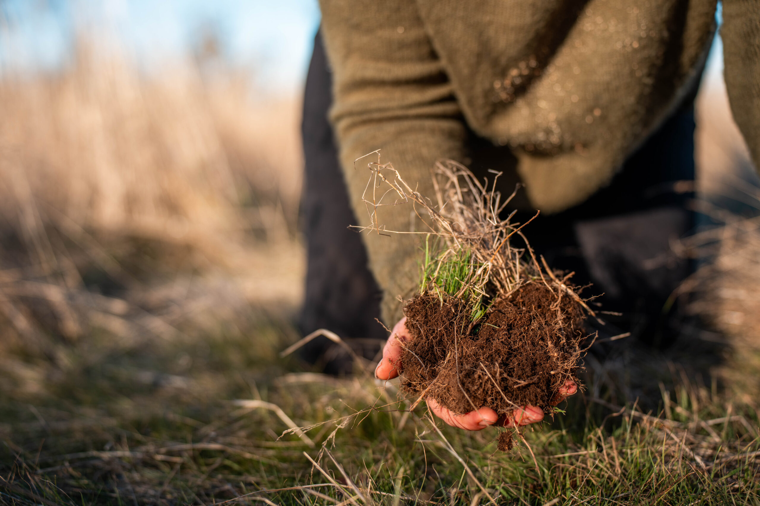 woman digging in soil with hands